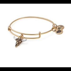 Alex and Ani Spirited Skull Charm Expandable Wire